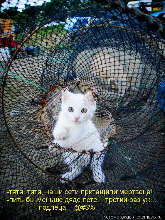 Котоматрица: -тятя, тятя, наши сети притащили мертвеца! -пить бы меньше дяде пете... третий раз уж... подлеца... @#$%
