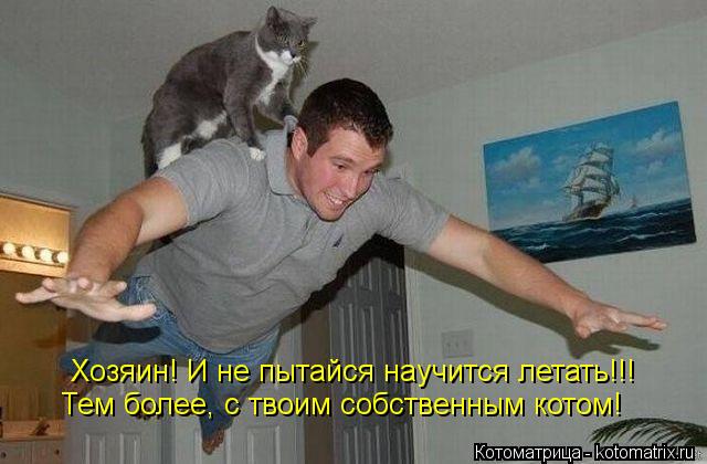 Котоматрица: Тем более, с твоим собственным котом! Хозяин! И не пытайся научится летать!!!