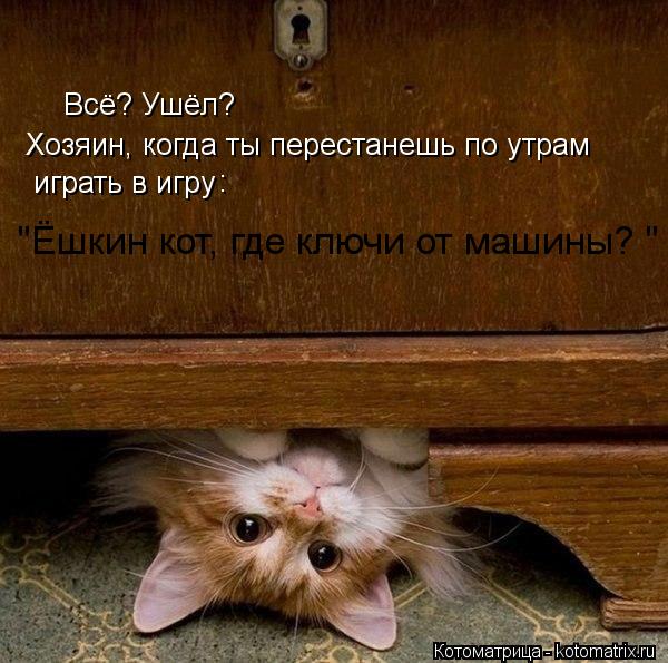 Котоматрица: Всё? Ушёл? Хозяин, когда ты перестанешь по утрам   играть в игру : "Ёшкин кот, где ключи от машины? "