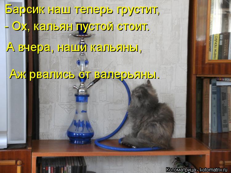 Стих про кальянщика Стих про кальянщика