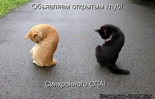 Объявляем открытым клуб! Синхронного СПА!... Котоматрица: Объявляем открытым клуб! Синхронного СПА!