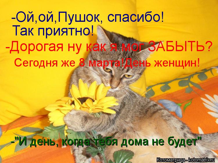 Открытка мне так приятно 38