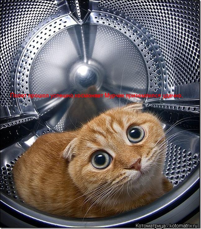 Полет прошол успешно,космонавт Мурчик приземлился удачно.... Котоматрица: Полет прошол успешно,космонавт Мурчик приземлился удачно.