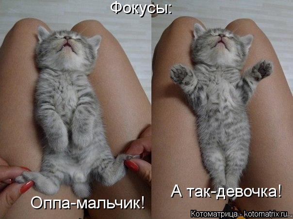 Котоматрица: Фокусы: Оппа-мальчик! А так-девочка!