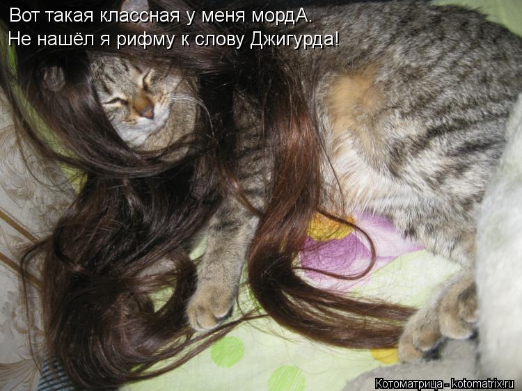 Вот такая классная у меня мордА. Не нашёл я рифму к слову Джигурда!... Котоматрица: Вот такая классная у меня мордА. Не нашёл я рифму к слову Джигурда!