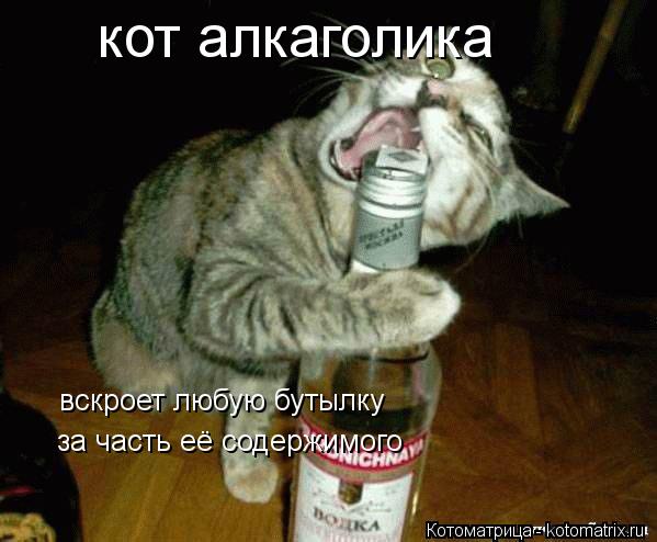 Котоматрица: кот алкаголика вскроет любую бутылку за часть её содержимого за часть её содержимого