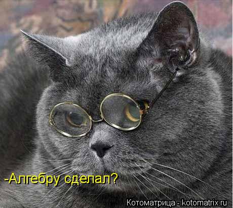 -Алгебру сделал?... Котоматрица: -Алгебру сделал?