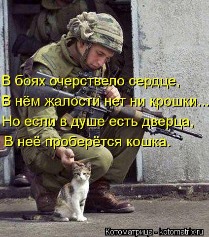 Котоматрица: Но если в душе есть дверца, В неё проберётся кошка. В боях очерствело сердце, В нём жалости нет ни крошки...