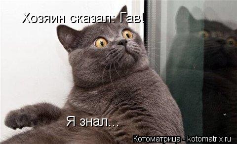 Котоматрица: Хозяин сказал: Гав! Я знал...