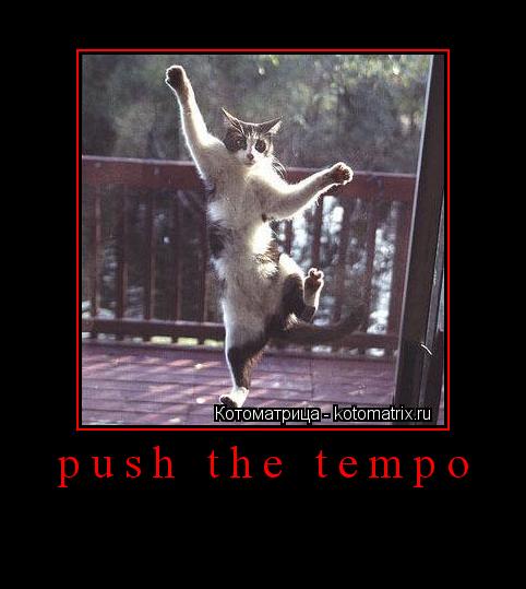 Котоматрица: push the tempo 