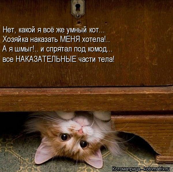 Котоматрица: Нет, какой я всё же умный кот... Хозяйка наказать МЕНЯ хотела!.. А я шмыг!.. и спрятал под комод... все НАКАЗАТЕЛЬНЫЕ части тела!