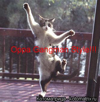 Котоматрица: Oppa Gangman Style!!!