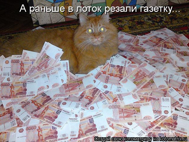 А раньше в лоток резали газетку...... Котоматрица: А раньше в лоток резали газетку...