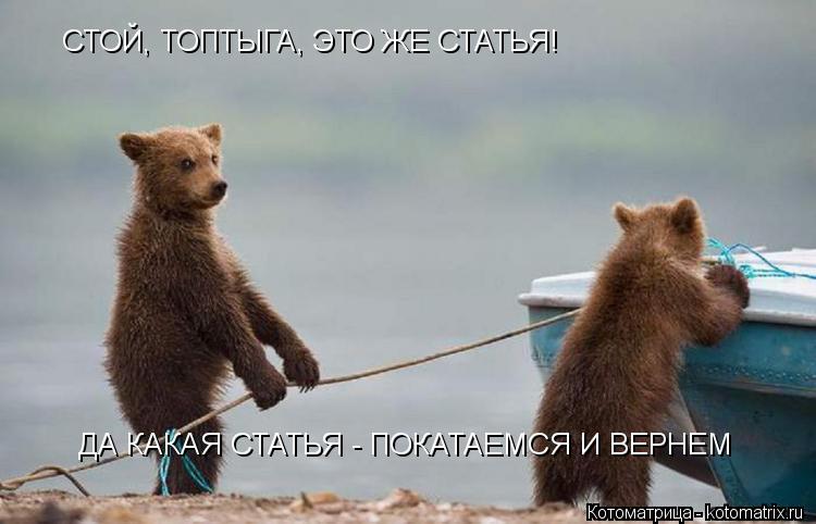 СТОЙ, ТОПТЫГА, ЭТО ЖЕ СТАТЬЯ! ДА КАКАЯ СТАТЬЯ - ПОКАТАЕМСЯ И ВЕРНЕМ... Котоматрица: СТОЙ, ТОПТЫГА, ЭТО ЖЕ СТАТЬЯ! ДА КАКАЯ СТАТЬЯ - ПОКАТАЕМСЯ И ВЕРНЕМ