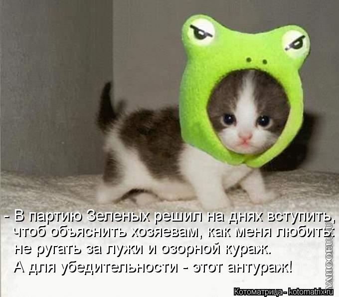 - В партию Зеленых решил на днях вступить, чтоб объяснить хозяевам, как меня любить: не ругать за луж... Котоматрица: - В партию Зеленых решил на днях вступить, чтоб объяснить хозяевам, как меня любить: не ругать за лужи и озорной кураж. А для убедительности -