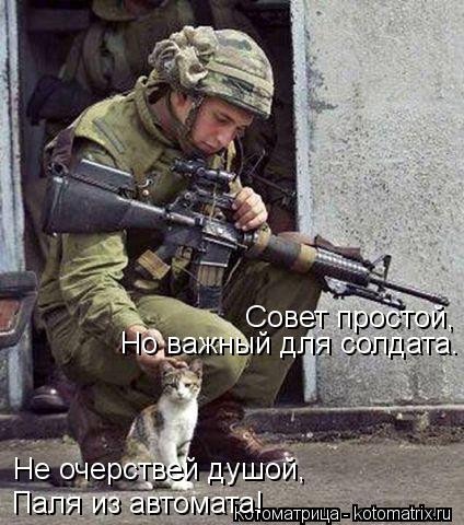 Котоматрица: Совет простой, Но важный для солдата. Не очерствей душой, Паля из автомата!