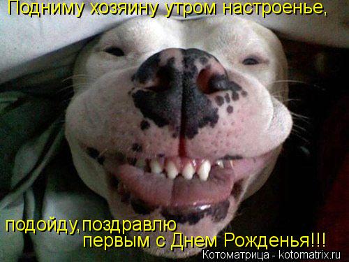 Котоматрица: Подниму хозяину утром настроенье, подойду,поздравлю первым с Днем Рожденья!!!