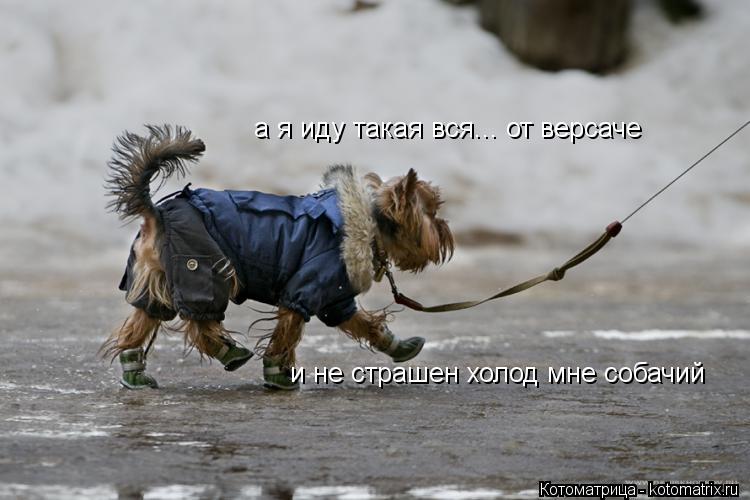 Человек собаке друг!!!