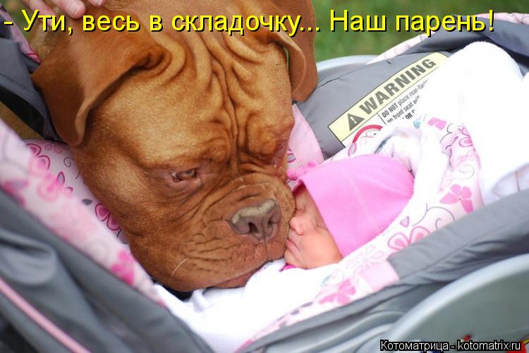 - Ути, весь в складочку... Наш парень!... Котоматрица: - Ути, весь в складочку... Наш парень!