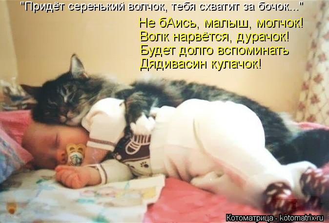 Котоматрица: "Придёт серенький волчок, тебя схватит за бочок..." Не бАись, малыш, молчок! Волк нарвётся, дурачок! Будет долго вспоминать Дядивасин кулачок!
