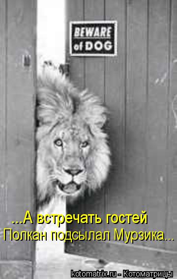 Котоматрица: ...А встречать гостей  Полкан подсылал Мурзика...
