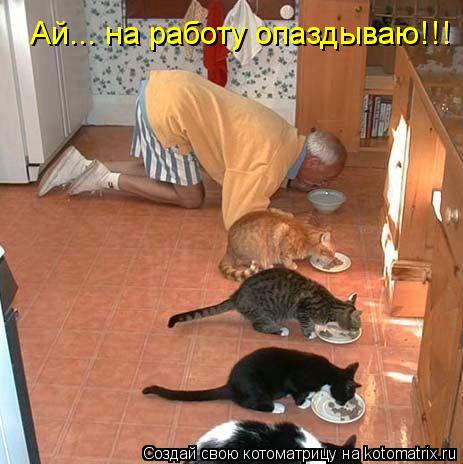 Ай... на работу опаздываю!!!... Котоматрица: Ай... на работу опаздываю!!!