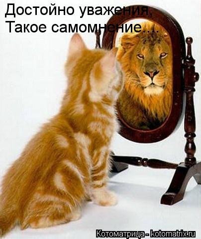 Котоматрица: Достойно уважения, Такое самомнение....