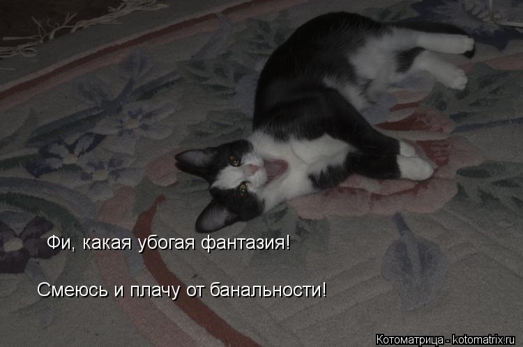 Котоматрица: Фи, какая убогая фантазия!   Смеюсь и плачу от банальности!