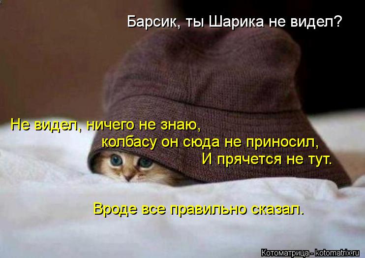 Барсик, ты Шарика не видел? Не видел, ничего не знаю, колбасу он сюда не приносил, И прячется не тут... Котоматрица: Барсик, ты Шарика не видел? Не видел, ничего не знаю, колбасу он сюда не приносил, И прячется не тут. Вроде все правильно сказал.