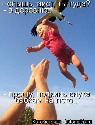 - слышь, аист, ты куда? - в деревню.. - прошу, подкинь внука бабкам на лето...... Котоматрица: - слышь, аист, ты куда? - в деревню.. - прошу, подкинь внука бабкам на лето...