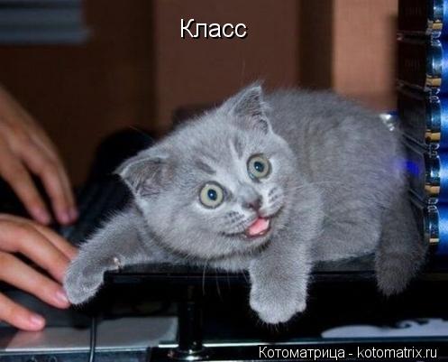 Класс... Котоматрица: Класс