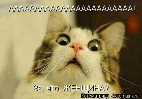 АААААААААААААААААААААААА! За, что, ЖЕНЩИНА?... Котоматрица: АААААААААААААААААААААААА! За, что, ЖЕНЩИНА?