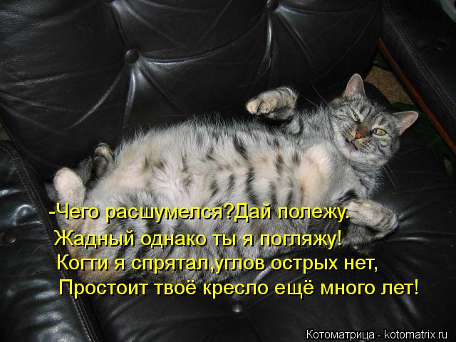 -Чего расшумелся?Дай полежу. Жадный однако ты я погляжу! Когти я спрятал,углов острых нет, Простоит т... Котоматрица: -Чего расшумелся?Дай полежу. Жадный однако ты я погляжу! Когти я спрятал,углов острых нет, Простоит твоё кресло ещё много лет!