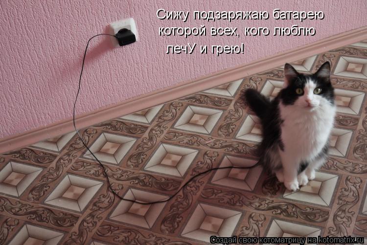 Сижу подзаряжаю батарею которой всех, кого люблю лечУ и грею!... Котоматрица: Сижу подзаряжаю батарею которой всех, кого люблю лечУ и грею!