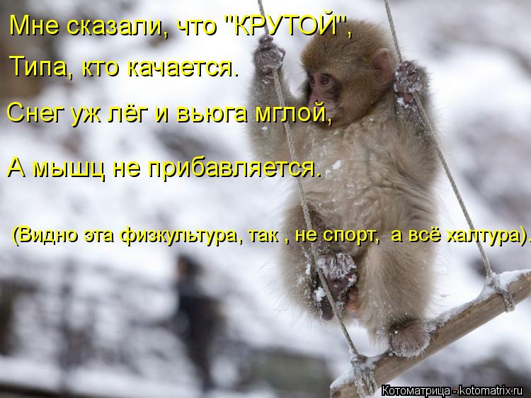Мне сказали, что "КРУТОЙ", Типа, кто качается. Снег уж лёг и вьюга мглой, А мышц не прибавляется. (Ви... Котоматрица: Мне сказали, что "КРУТОЙ", Типа, кто качается. Снег уж лёг и вьюга мглой, А мышц не прибавляется. (Видно эта физкультура, так , не спорт, а всё ха