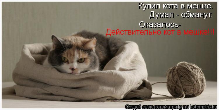 Купил кота в мешке. Думал - обманут. Оказалось- Действительно кот в мешке!!!... Котоматрица: Купил кота в мешке. Думал - обманут. Оказалось- Действительно кот в мешке!!!