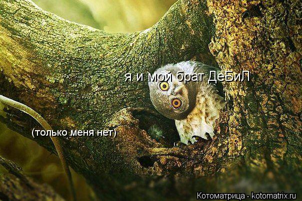 я и мой брат ДеБиЛ (только меня нет)... Котоматрица: я и мой брат ДеБиЛ (только меня нет)