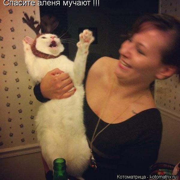 Спасите аленя мучают !!!... Котоматрица: Спасите аленя мучают !!!