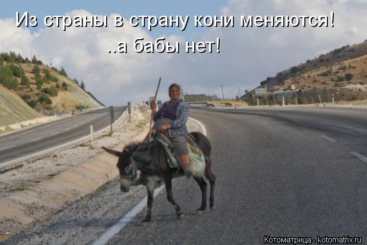 kotomatritsa_b9.jpg