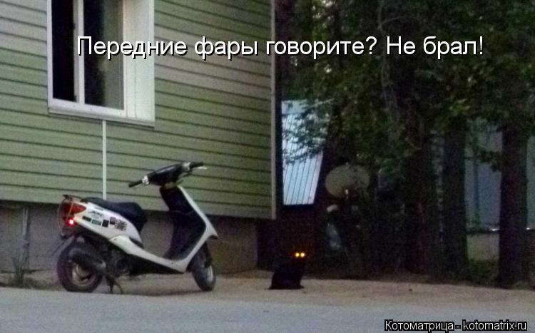 Передние фары говорите? Не брал!... Котоматрица: Передние фары говорите? Не брал!
