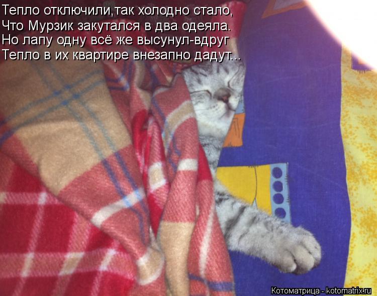 Тепло отключили,так холодно стало, Что Мурзик закутался в два одеяла. Но лапу одну всё же высунул-вдр... Котоматрица: Тепло отключили,так холодно стало, Что Мурзик закутался в два одеяла. Но лапу одну всё же высунул-вдруг Тепло в их квартире внезапно дадут...