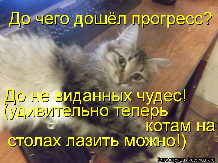 До чего пошел прогресс До чего пошел прогресс