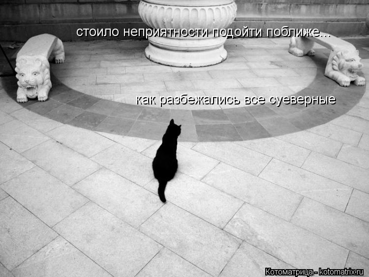 стоило неприятности подойти поближе... как разбежались все суеверные... Котоматрица: стоило неприятности подойти поближе... как разбежались все суеверные