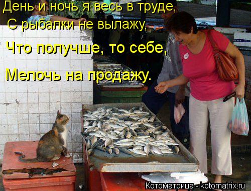 День и ночь я весь в труде, C рыбалки не вылажу, Что получше, то себе, Мелочь на продажу.... Котоматрица: День и ночь я весь в труде, C рыбалки не вылажу, Что получше, то себе, Мелочь на продажу.