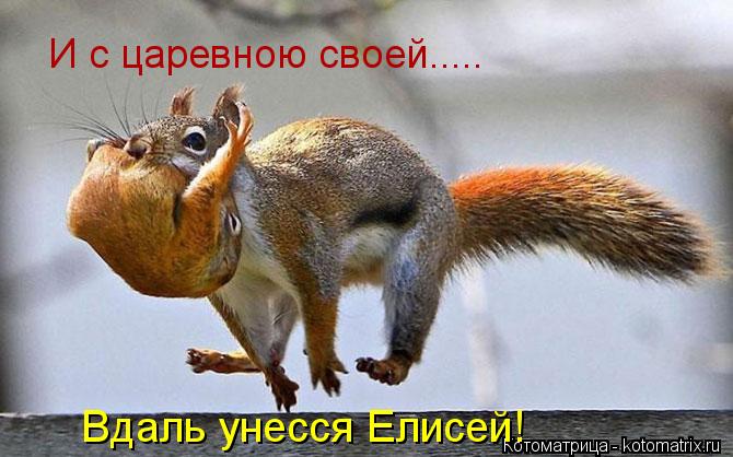 И с царевною своей..... Вдаль унесся Елисей!... Котоматрица: И с царевною своей..... Вдаль унесся Елисей!