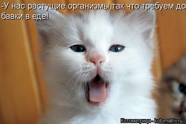 Котоматрица: -У нас растущие организмы,так что требуем до- бавки в еде!