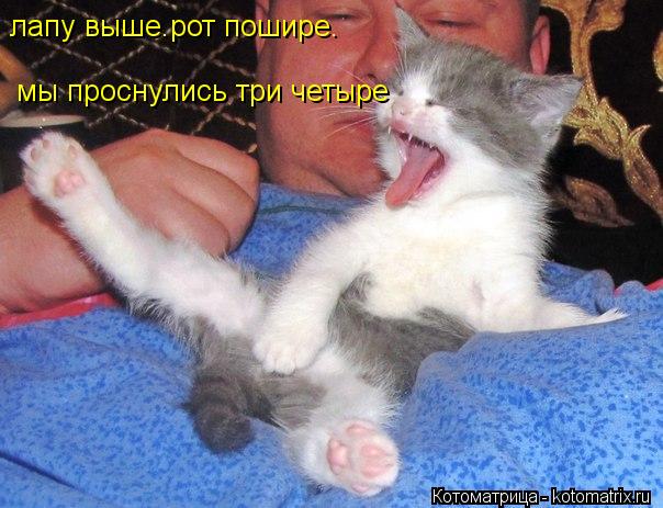 лапу выше.рот пошире. мы проснулись три четыре лапу выше.рот пошире. мы проснулись три четыре... Котоматрица: лапу выше.рот пошире. мы проснулись три четыре лапу выше.рот пошире. мы проснулись три четыре