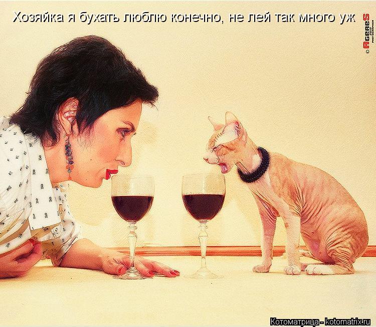 Котоматрица: Хозяйка я бухать люблю конечно, но ты давай не лей так много. Хозяйка я бухать люблю конечно,  Хозяйка я бухать люблю конечно, не лей так мног