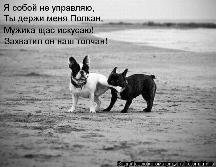 Я собой не управляю, Ты держи меня Полкан, Мужика щас искусаю! Захватил он наш топчан!... Котоматрица: Я собой не управляю, Ты держи меня Полкан, Мужика щас искусаю! Захватил он наш топчан!