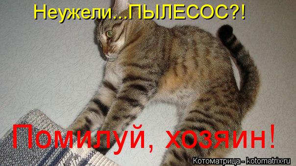 Неужели...ПЬІЛЕСОС?! Помилуй, хозяин!... Котоматрица: Неужели...ПЬІЛЕСОС?! Помилуй, хозяин!